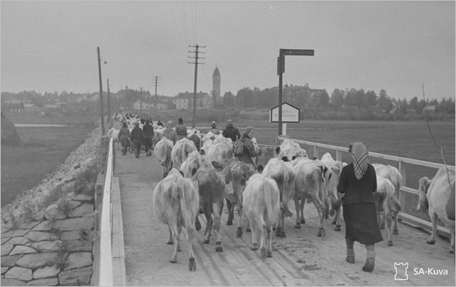 Sotiemme perinne_Lapin sota_karjan evakuointitehtävät jäivät Lapissakin usein nuorille tytöille.
